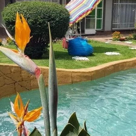Alberton Guest House Екстер'єр фото